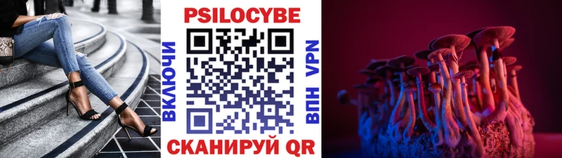 shop какой сайт  Циолковский  Псилоцибиновые грибы мицелий 